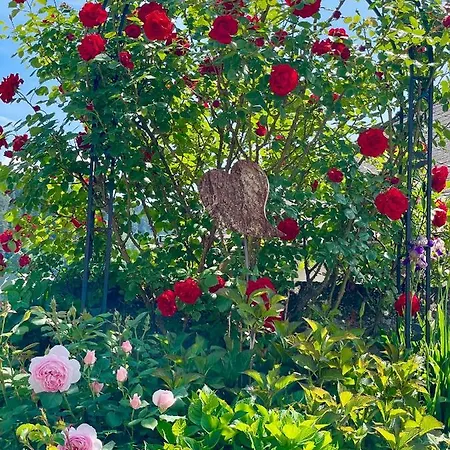 Entzueckende Garconniere Im Herzen Spittals Appartamento *