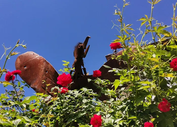 Entzueckende Garconniere Im Herzen Spittals Spittal an der Drau