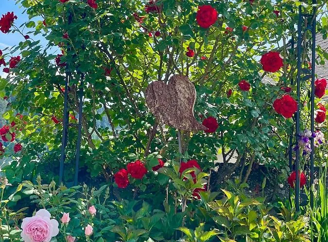 Entzueckende Garconniere Im Herzen Spittals Lägenhet *